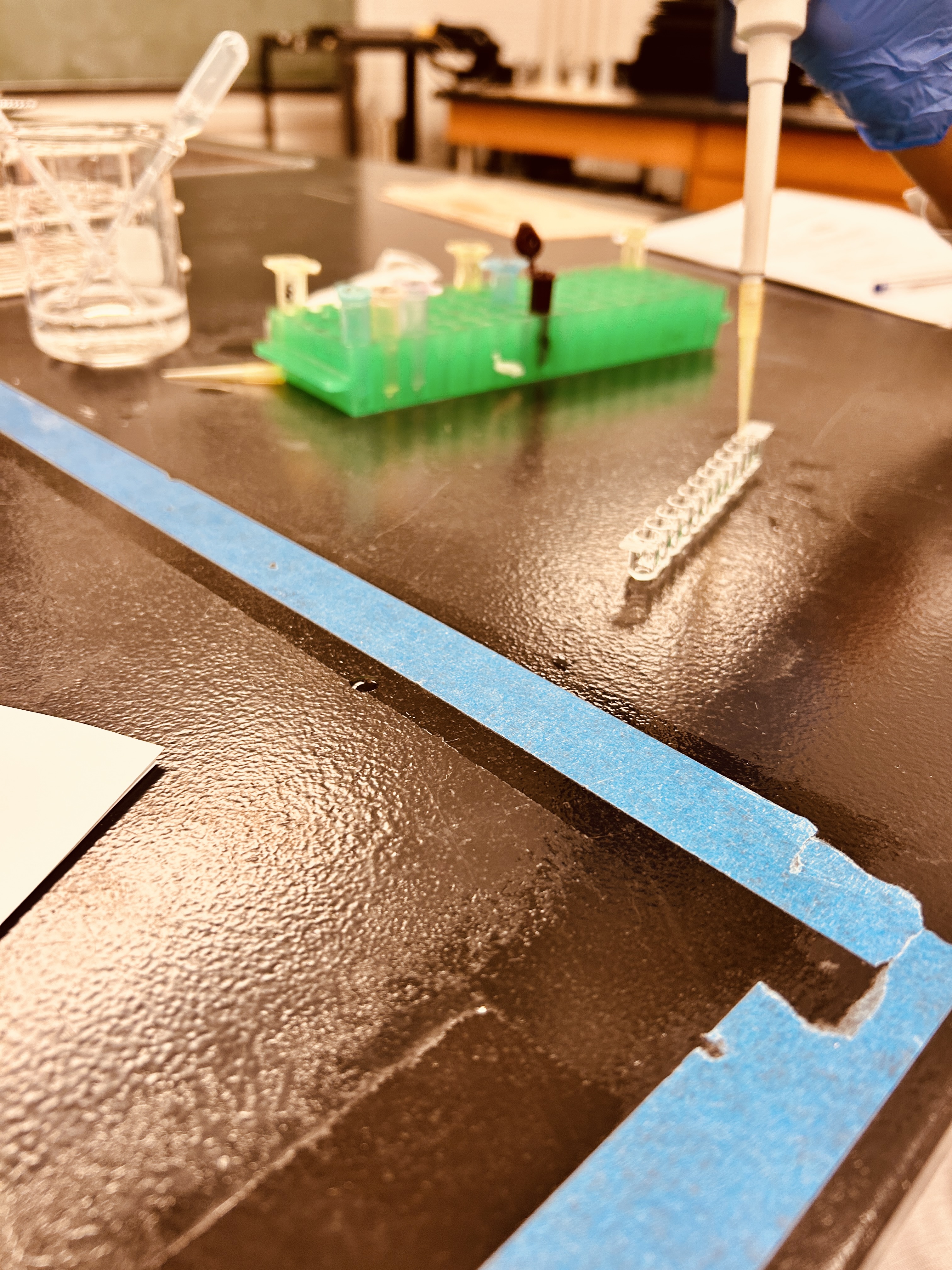 Exploring the World of Biochemistry at the University of Toronto - Image 1